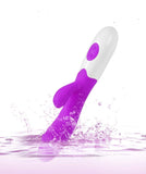 Erodit Tarzan dildo vibrator Purple, including batteries